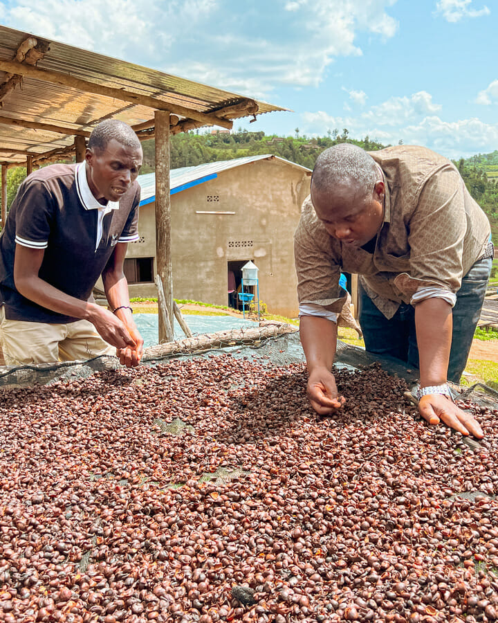 Baho Coffee regional (Ruanda)